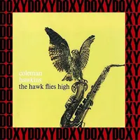 The Hawk Flies High