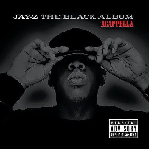 Jay-Z - The Black Album vinyl record cover