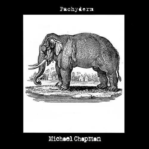 Michael Chapman - Pachyderm vinyl record cover