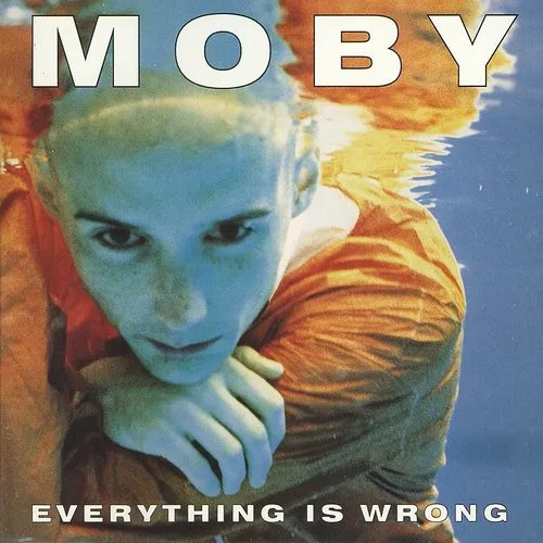 Everything Is Wrong