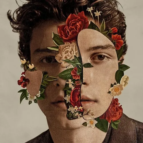 Shawn Mendes - Shawn Mendes vinyl record cover