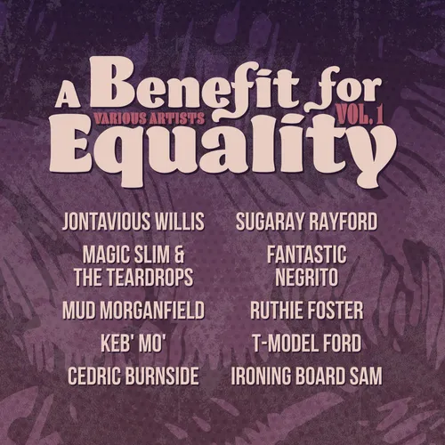 Various Artists - A Benefit For Equality Vol. 1 [Indie Exclusive Limited Edition LP]