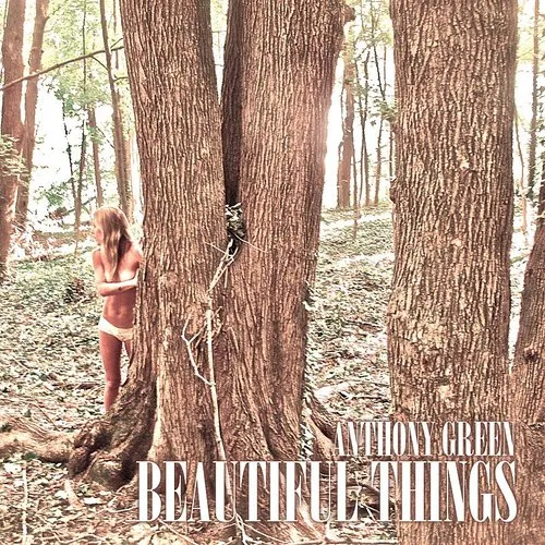 Anthony Green - Beautiful Things vinyl record cover