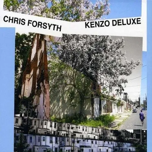 Chris Forsyth - Kenzo vinyl record cover