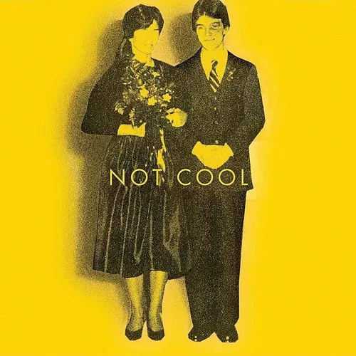 Tim Easton - Not Cool vinyl record cover