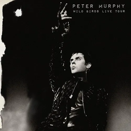 Peter Murphy - Wild Birds Live Tour vinyl record cover