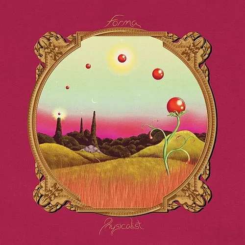 Forma - Physicalist vinyl record cover
