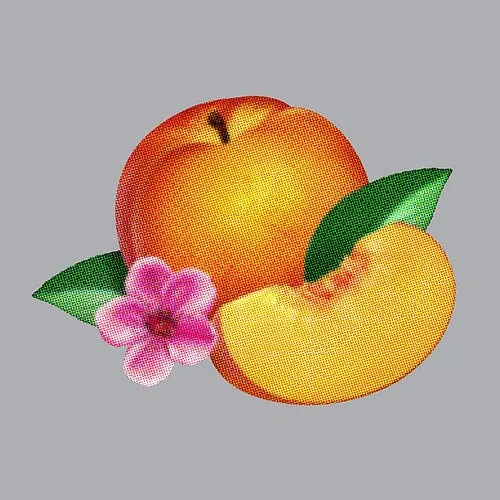 Phoenix - Bankrupt! vinyl record cover
