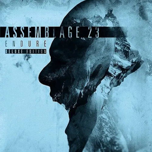 Assemblage 23 - Endure vinyl record cover