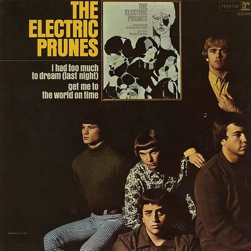 Electric Prunes: I Had Too Much To Dream