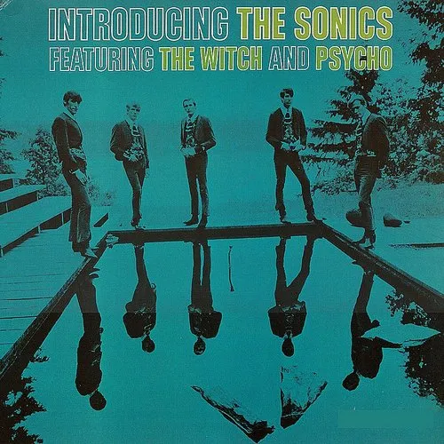 Introducing The Sonics