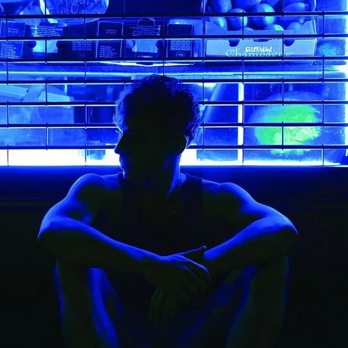 Chad Valley - Young Hunger vinyl record cover