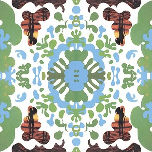 Black Dice - Beaches & Canyons vinyl record cover