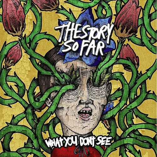 Story So Far - What You Don't See (Blue) vinyl record cover