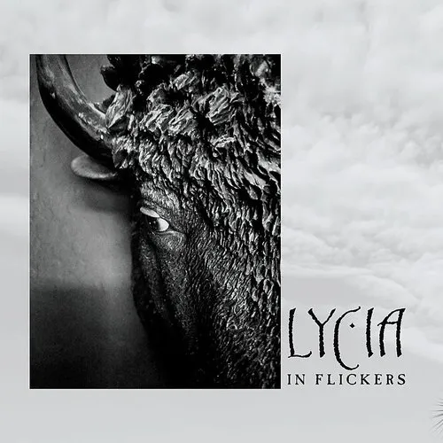 In Flickers