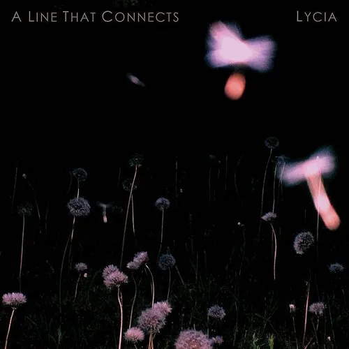 A Line That Connects (Gate)