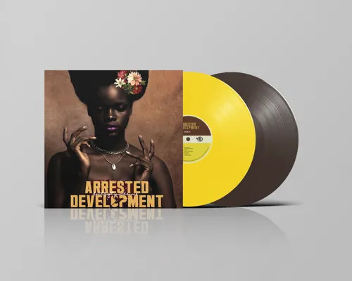 Arrested Development - Don't Fight Your Demons vinyl record cover