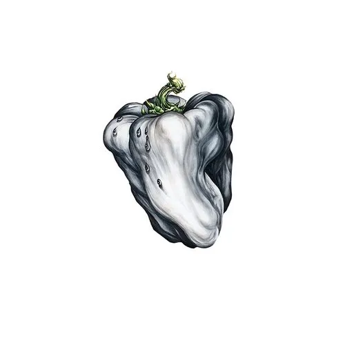 Ween - White Pepper vinyl record cover