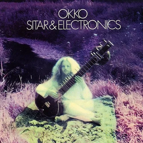 Sitar and Electronics