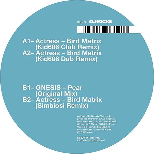 Bird Matrix (Remixes)