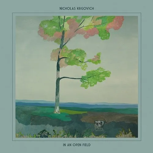 Nicholas Krgovich - In An Open Field vinyl record cover