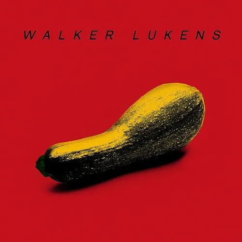 Walker Lukens - Tell It To The Judge vinyl record cover