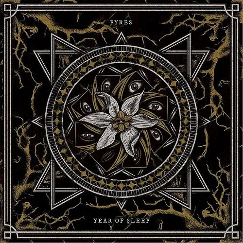 Year of Sleep
