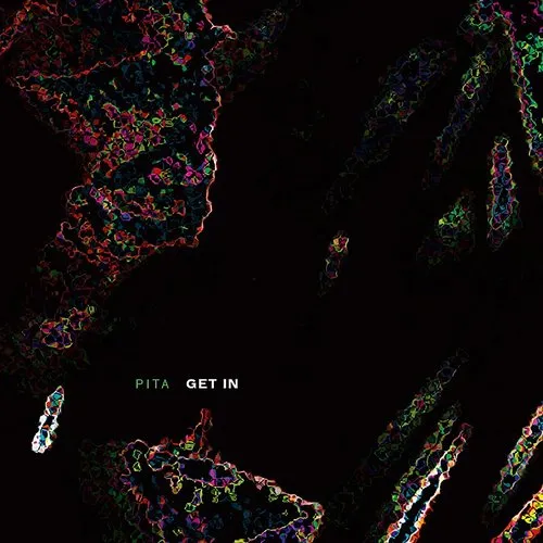 Pita - Get in vinyl record cover