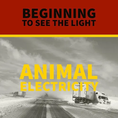 Animal Electricity - Beginning To See The Light