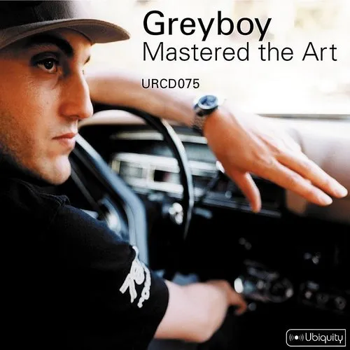 Greyboy - Mastered the Art vinyl record cover