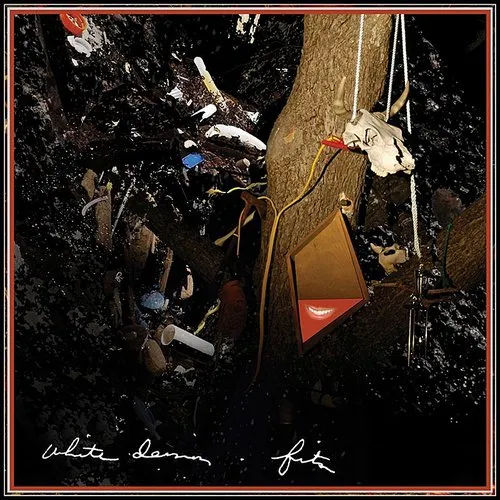 White Denim - Fits vinyl record cover