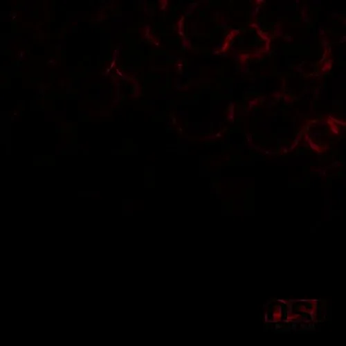 OSI - Blood (Bonus Track) vinyl record cover
