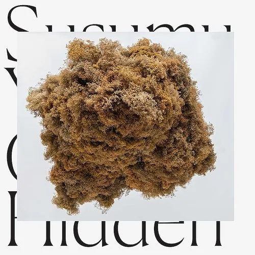 Cloud Hidden (Uk)