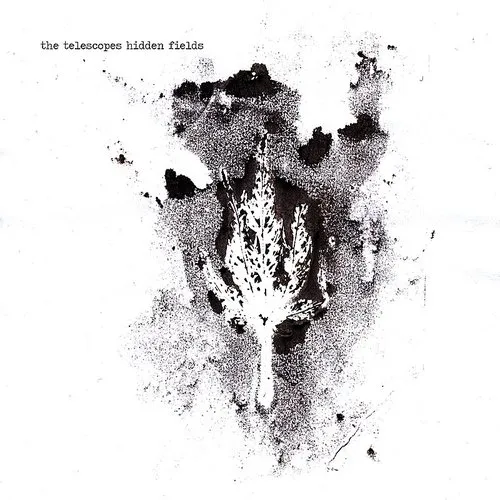 Telescopes - Hidden Fields vinyl record cover