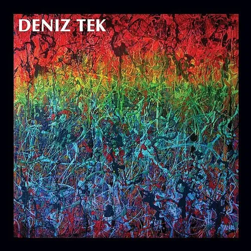 Deniz Tek - Mean Old Twister vinyl record cover
