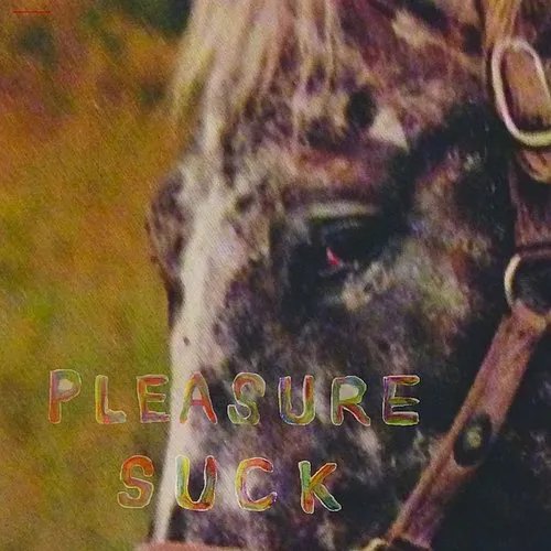 SPIRIT OF THE BEEHIVE - Pleasure Suck vinyl record cover