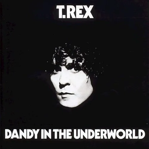 T. Rex - Dandy in the Underworld vinyl record cover