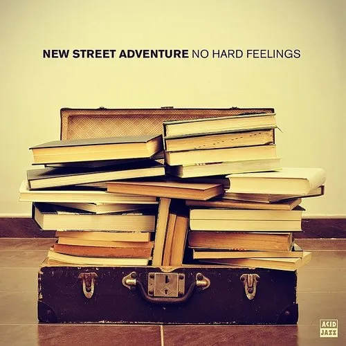 No Hard Feelings (Aniv)