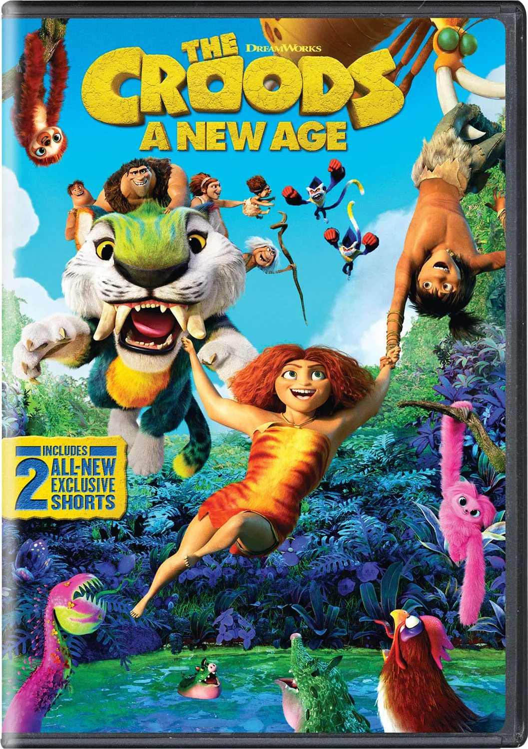 DVD