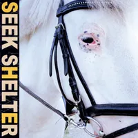 Iceage - Seek Shelter [Indie Exclusive Limited Edition Orange LP]