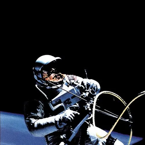 The Afghan Whigs - 1965 vinyl record cover
