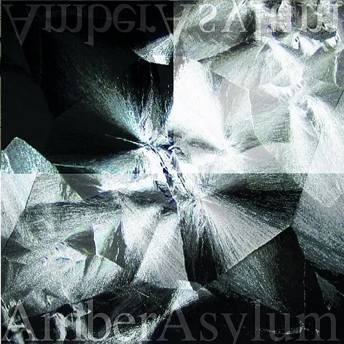 Amber Asylum - Still Point vinyl record cover