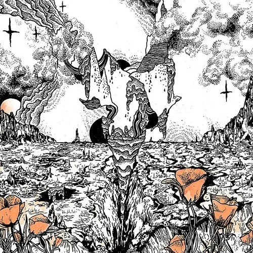 Evolfo - Last Of The Acid Cowboys vinyl record cover