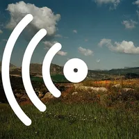 D.I. Goes Pop