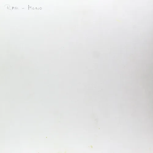 RAM: Mono