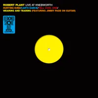 Robert Plant - Live at Knebworth 1990 [RSD Drops 2021]