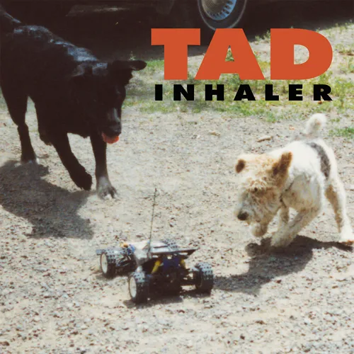 Tad - Inhaler [RSD Drops 2021]