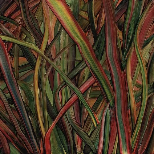 Gengahr - Where Wildness Grows vinyl record cover