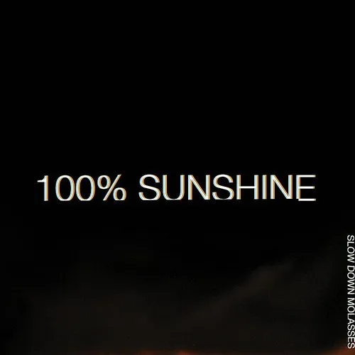 Slow Down Molasses - 100% Sunshine vinyl record cover