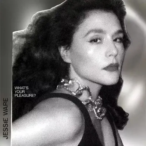 What's Your Pleasure?: The Platinum Pleasure Edition
